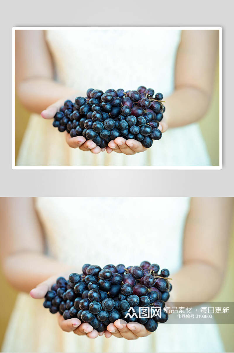 高清紫色新鲜水果葡萄食品图片素材