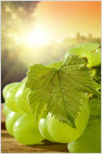 绿色高清有机水果葡萄食品图片