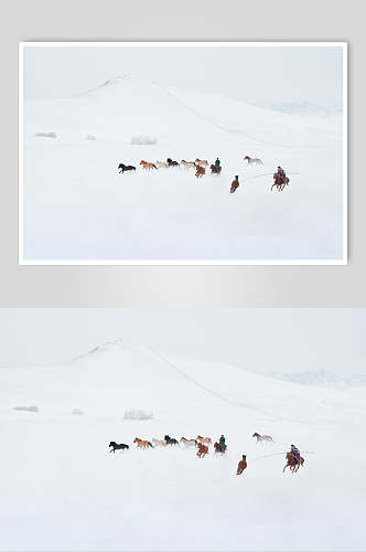 雪中骏马乌兰布统风景图片