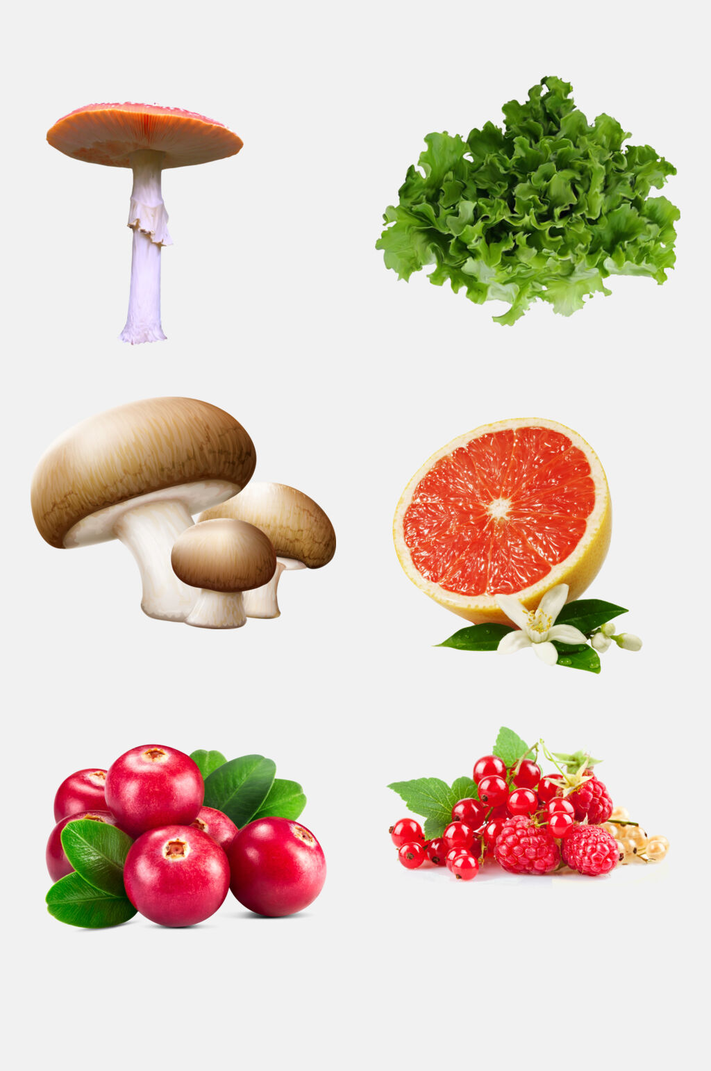 时尚有机美食水果蔬菜免抠素材素材