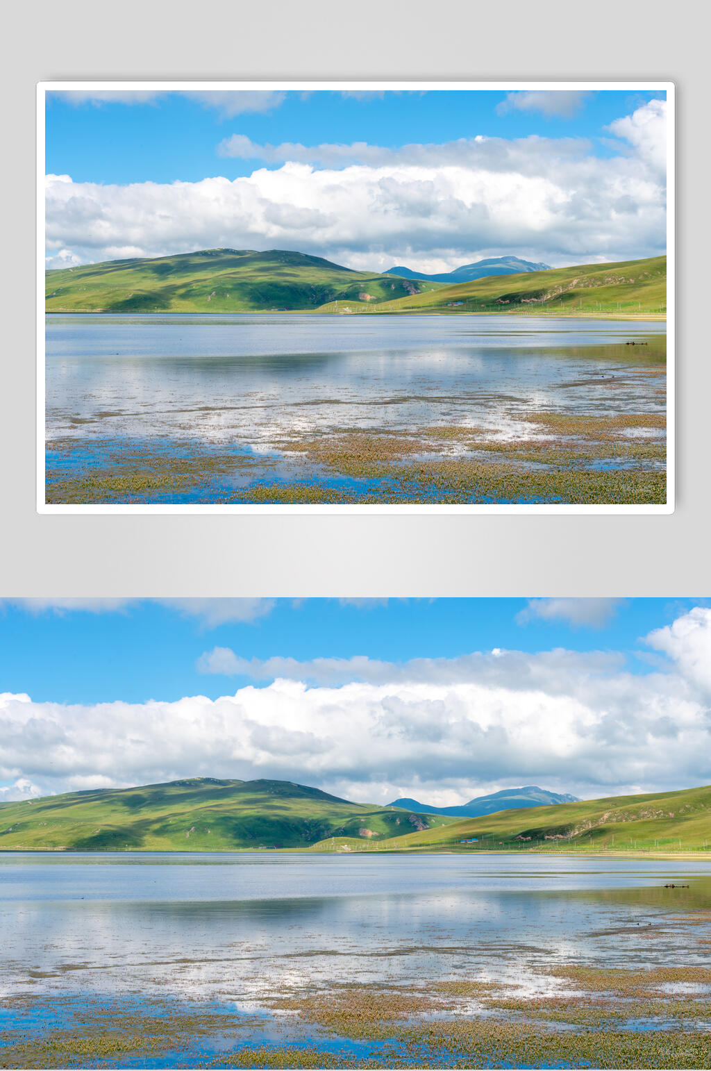 湖泊乌兰布统风景图片素材
