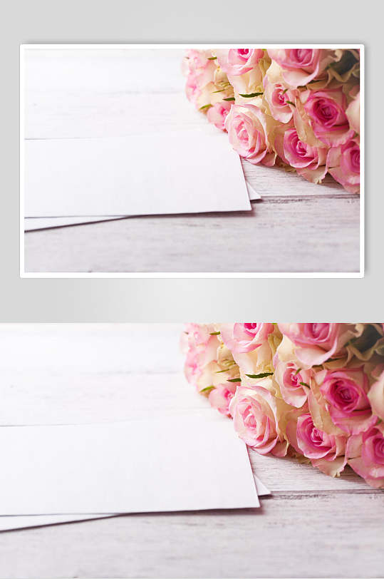 清新简洁粉色花语花朵高清图片