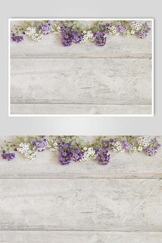 紫色花语花朵高清图片