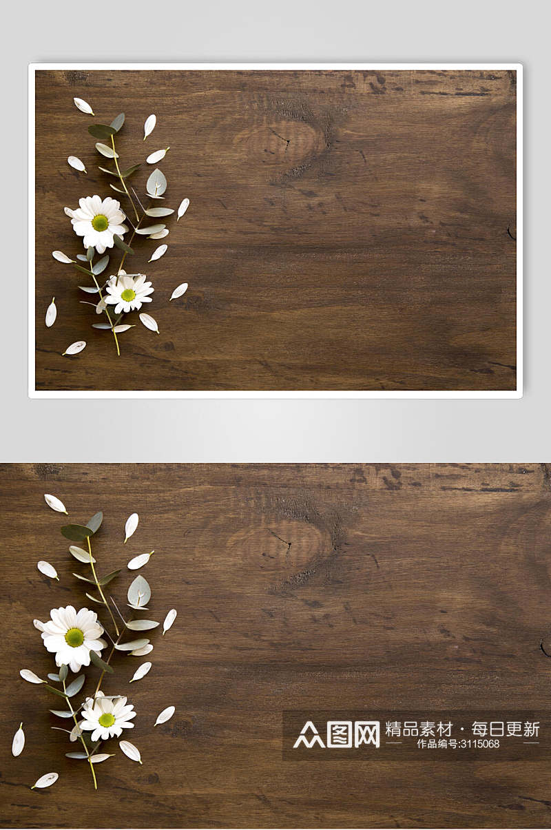 木纹花语花朵高清摄影图片素材