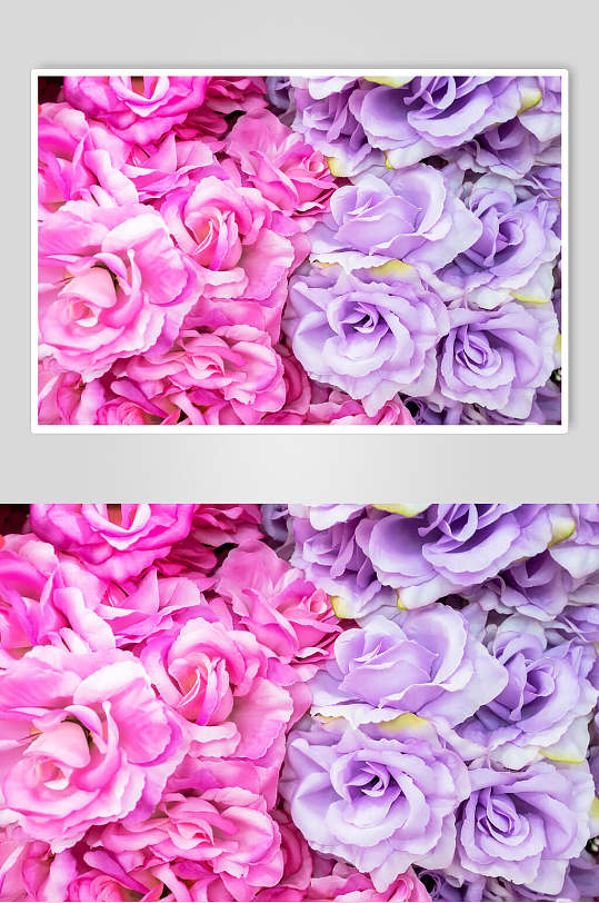 粉紫色花束花语花朵高清图片