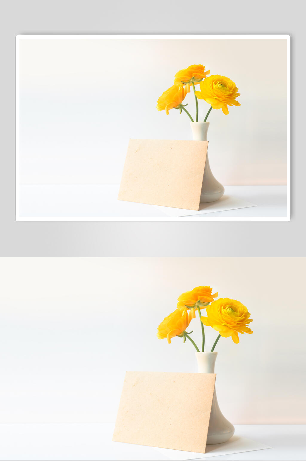 简约花卉花语花朵高清图片素材