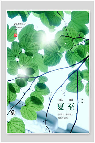 绿色植物创意夏至节气海报