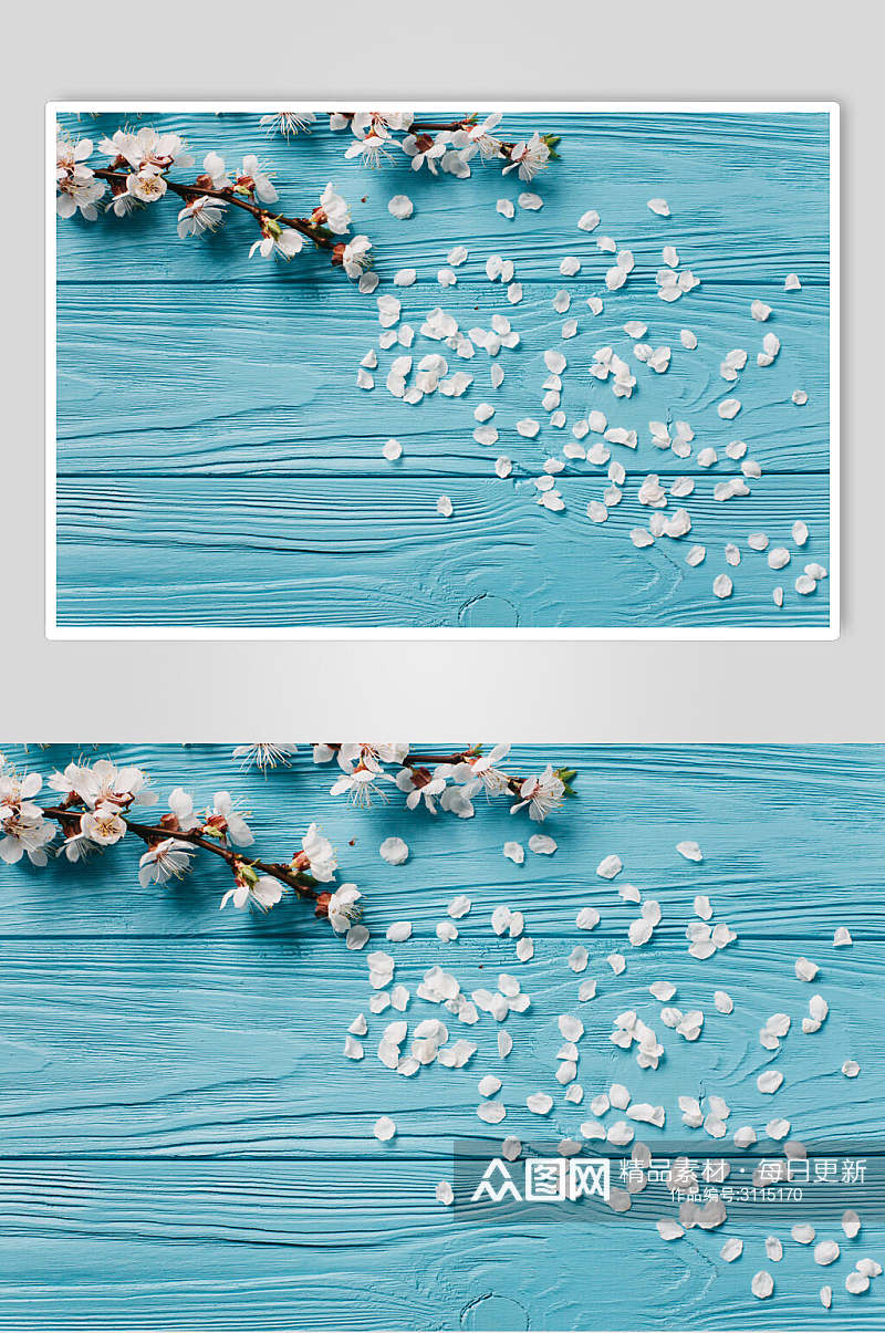 蓝色花瓣花语花朵高清图片素材