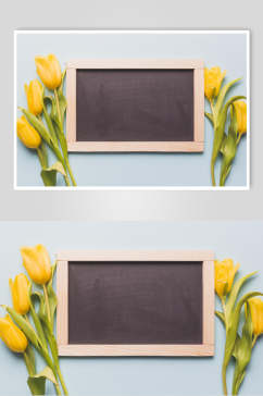 黄色花语花朵高清摄影图片