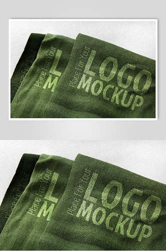 时尚绿色创意高端布料材质logo样机
