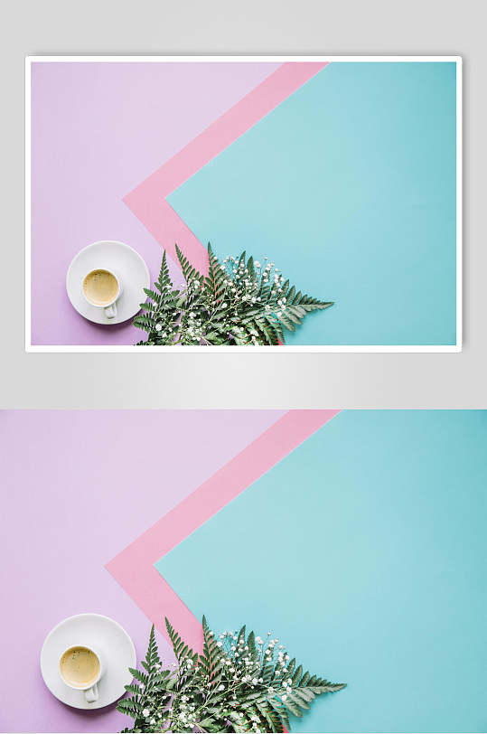 粉蓝色咖啡花语花朵高清图片