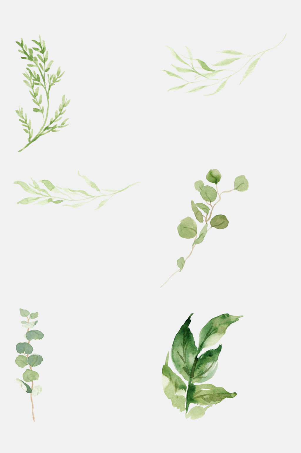 简洁森系水彩绿植免抠元素素材