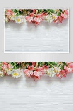 鲜花花语花朵高清摄影图片