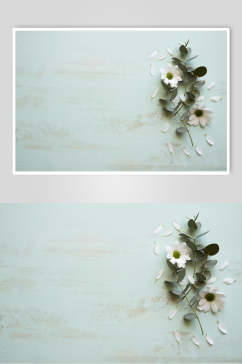 浅蓝色花语花朵高清图片