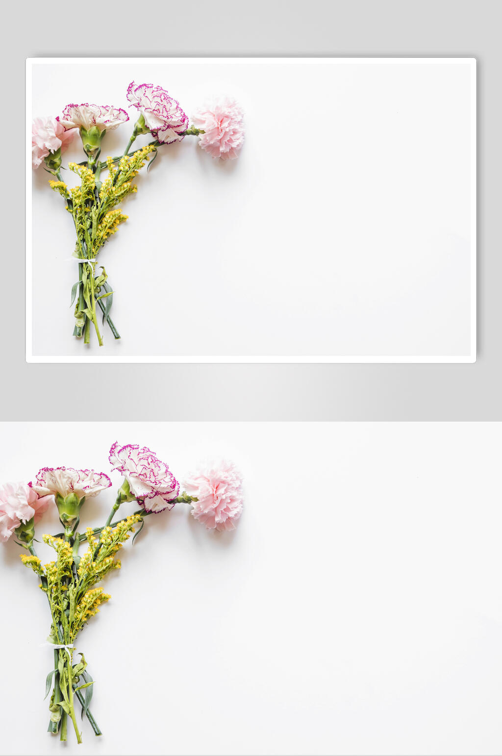 简约花卉花语花朵高清图片素材