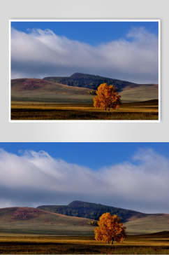 草原乌兰布统风景图片