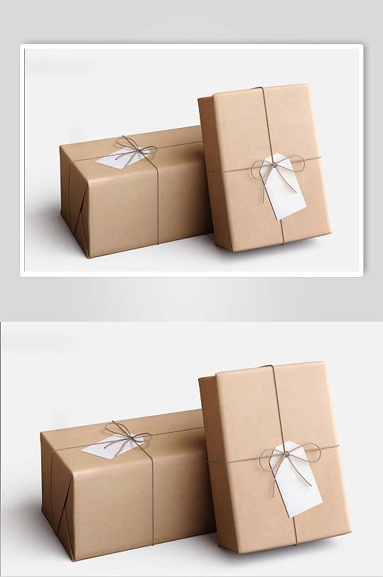 简洁时尚牛皮纸礼品包装袋样机