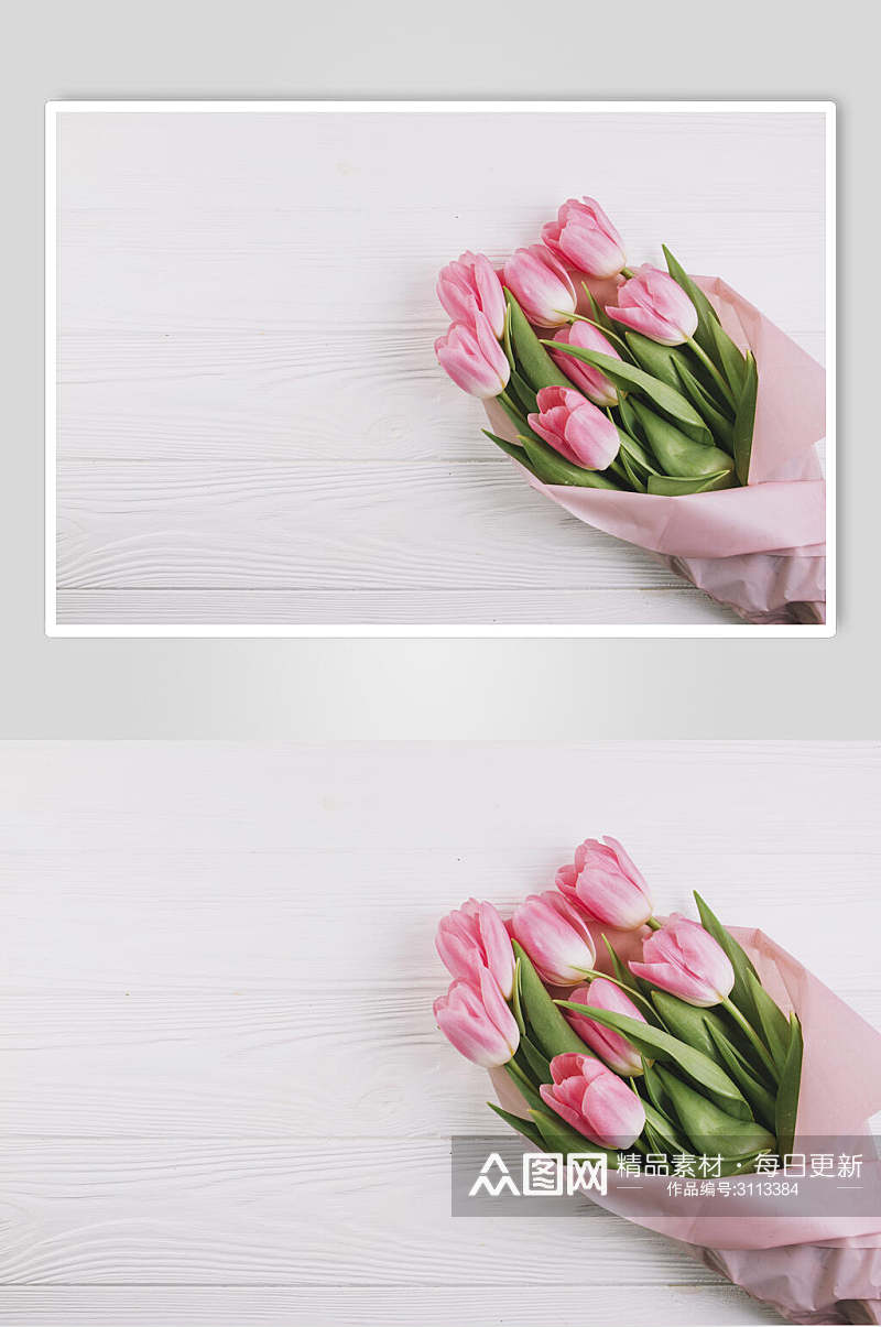 郁金香花语花朵高清图片素材