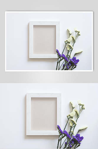 白色相框花语花朵高清摄影图片