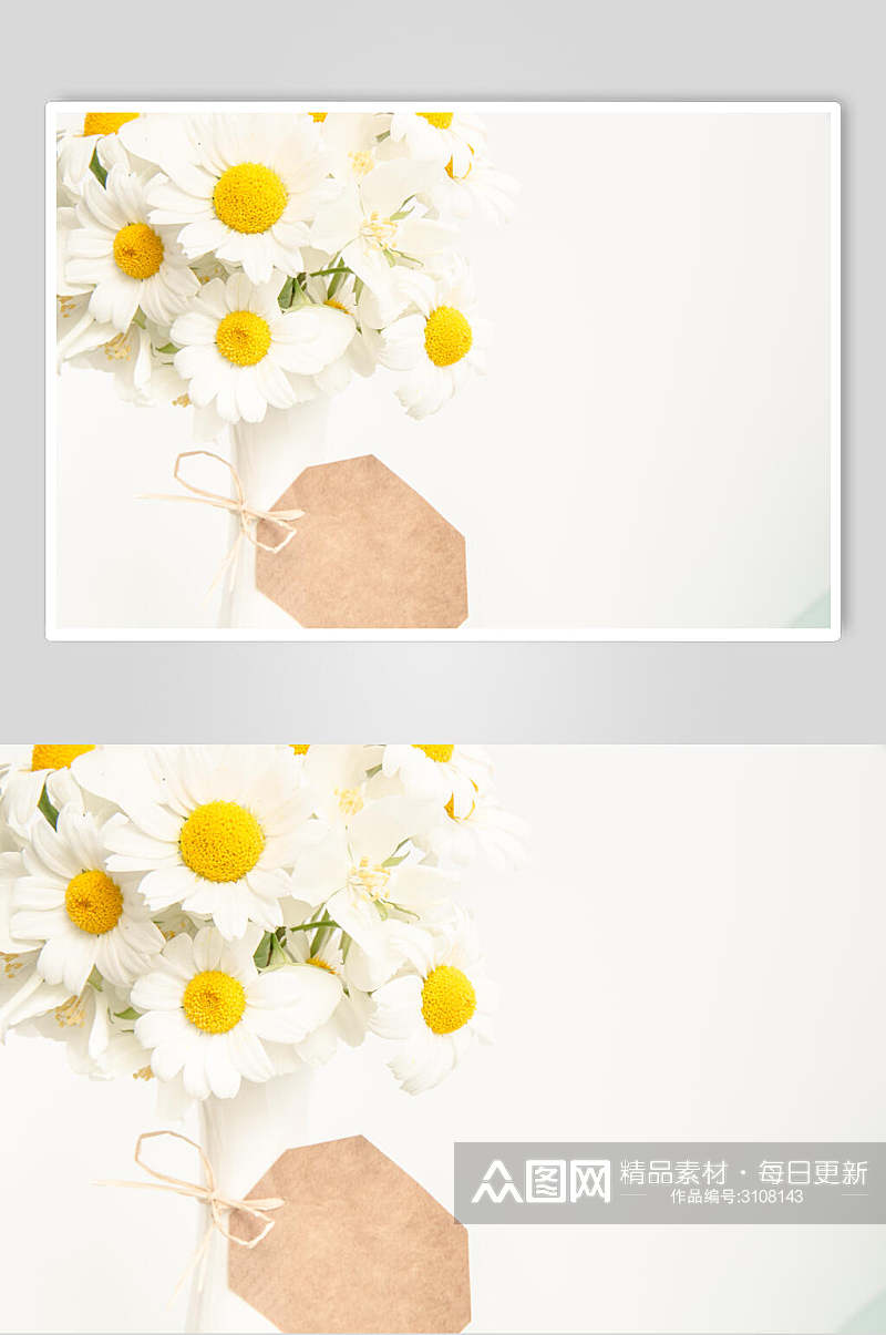 白色花语花朵高清摄影图片素材