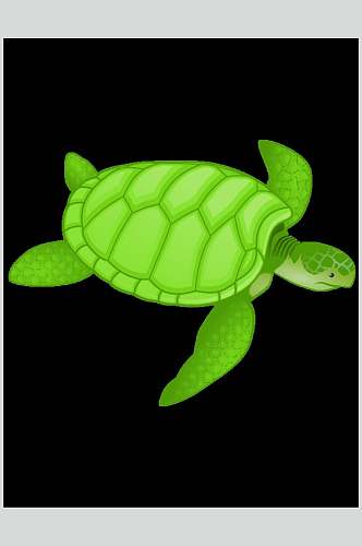 纯绿斑纹巴西乌龟矢量素材
