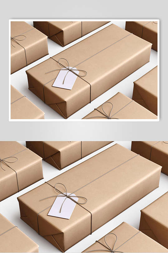 简洁新潮牛皮纸礼品包装袋样机