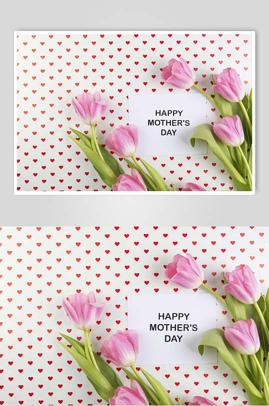 粉色母亲节花语花朵高清图片