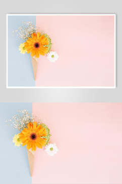 粉色淡雅花语花朵高清图片