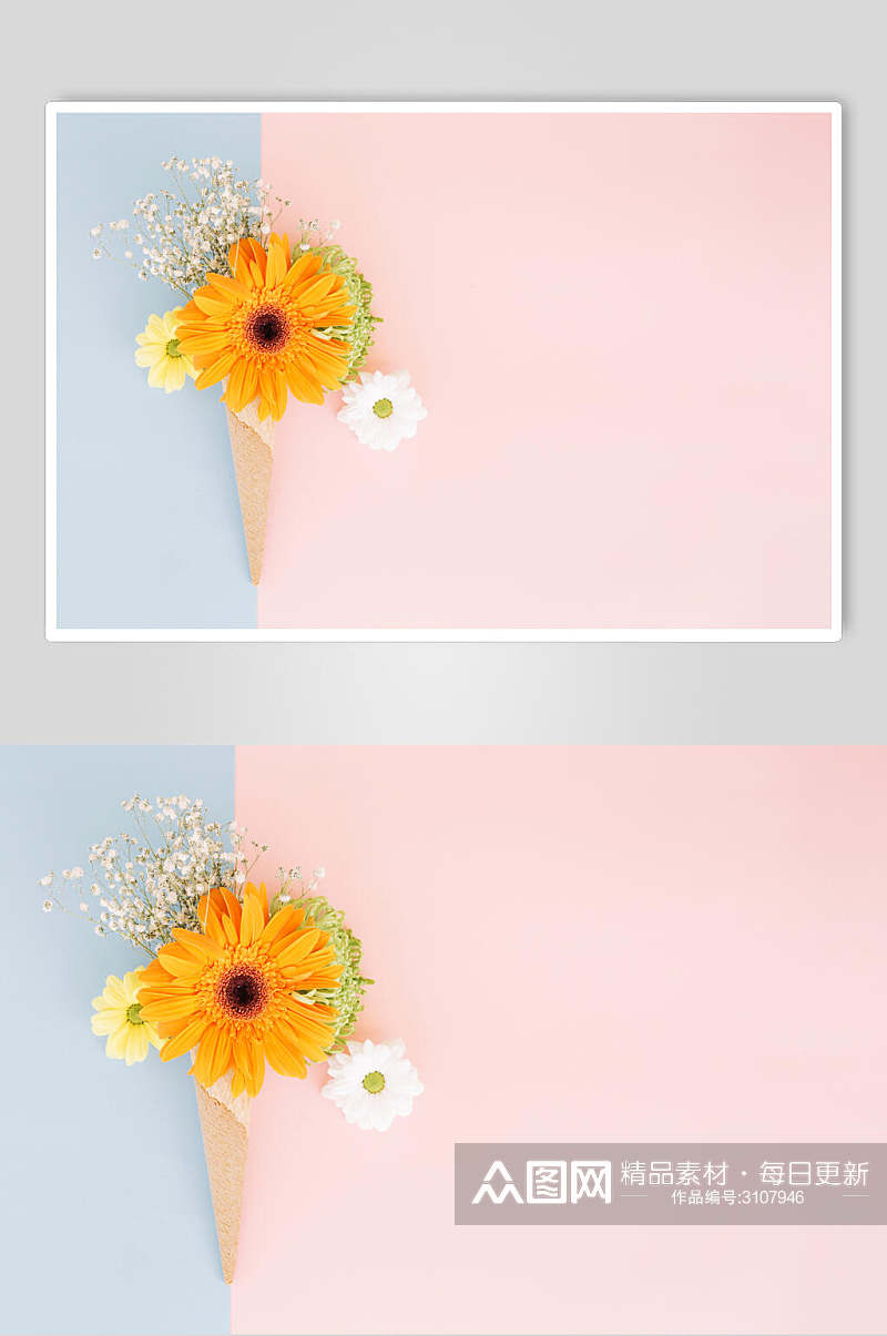 粉色淡雅花语花朵高清图片素材