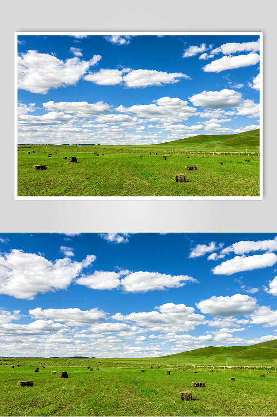 蓝天白云草原乌兰布统风景图片