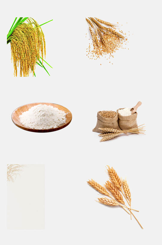 简洁大米稻谷谷物免抠设计素材
