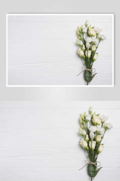 极简白色花语花朵高清图片