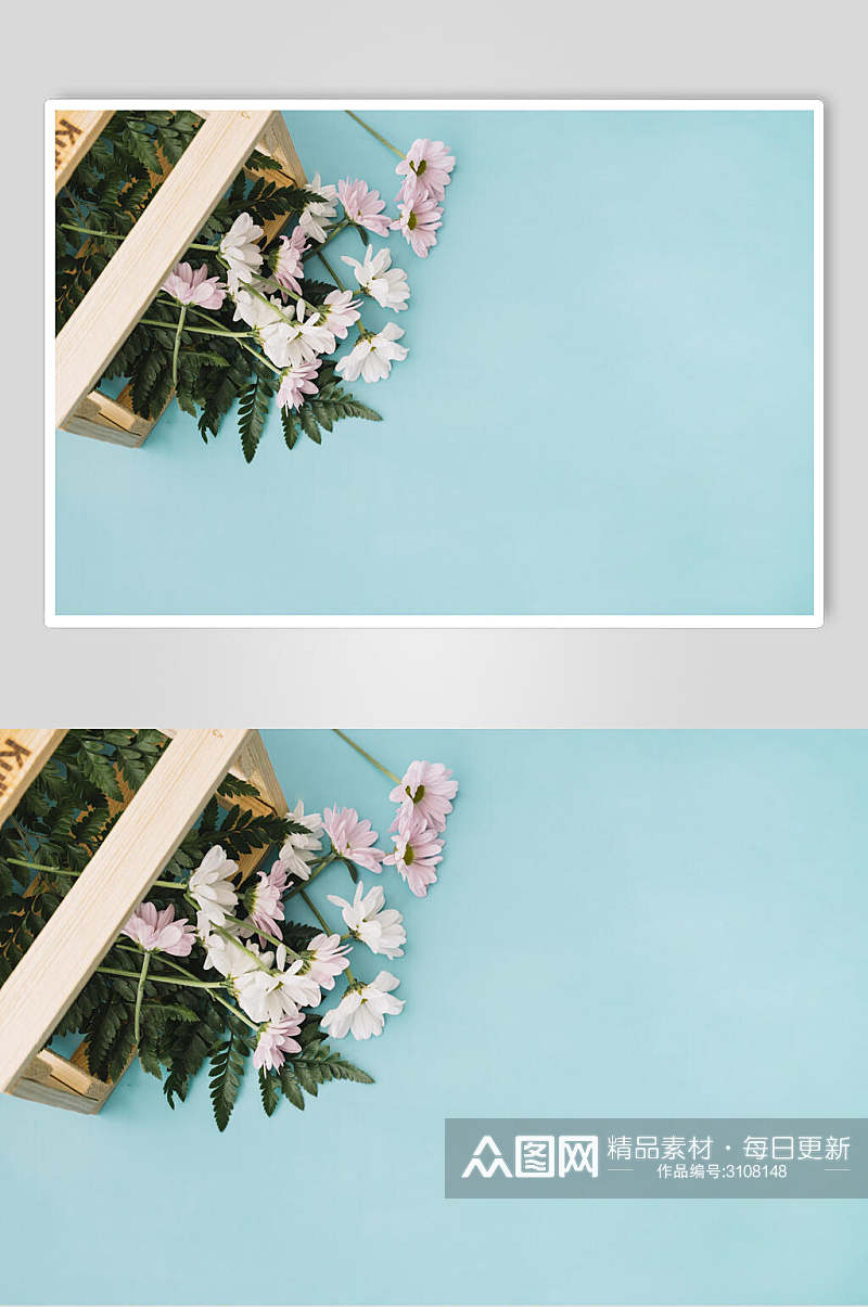 简约浅蓝色花语花朵高清图片素材