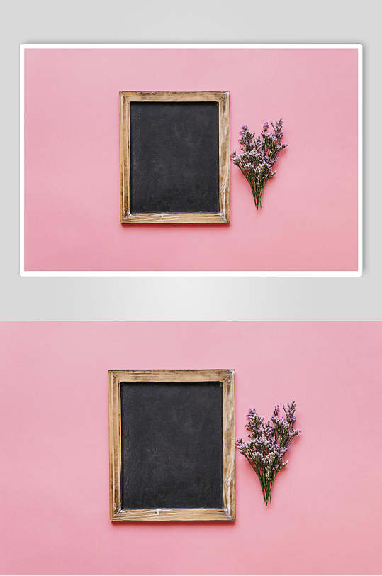 粉色相框花语花朵高清摄影图片