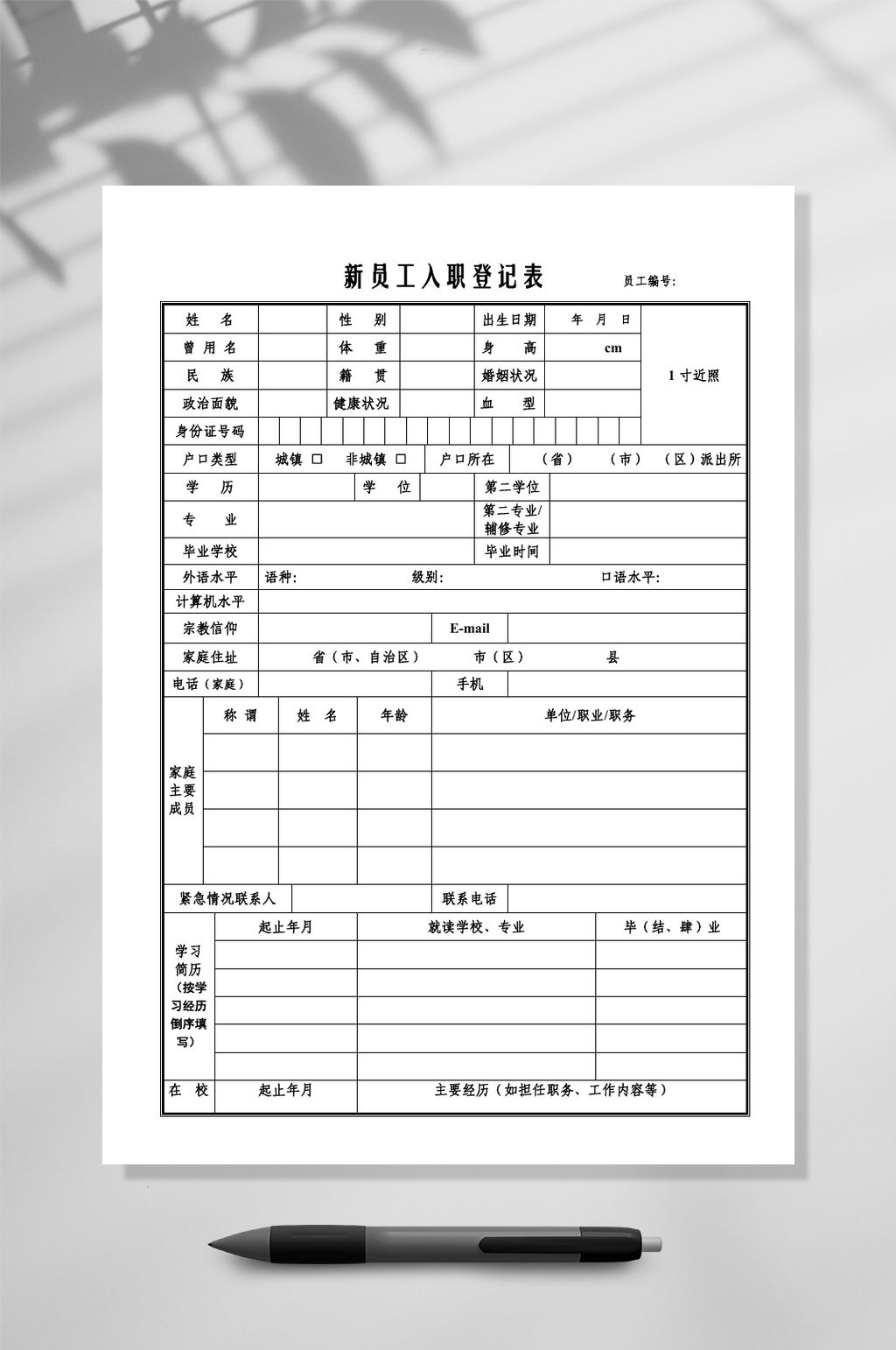 新员工入职登记表竖版WORD素材