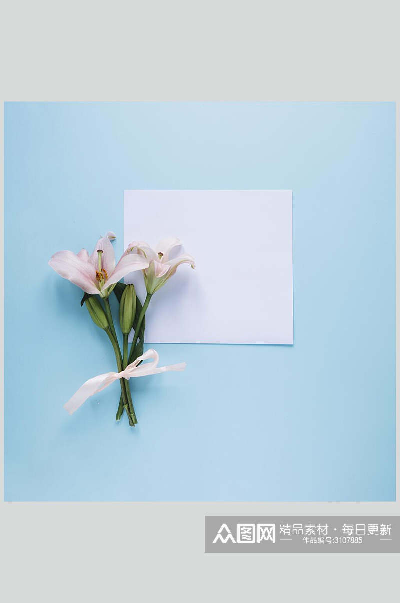 浅蓝色花语花朵高清图片素材
