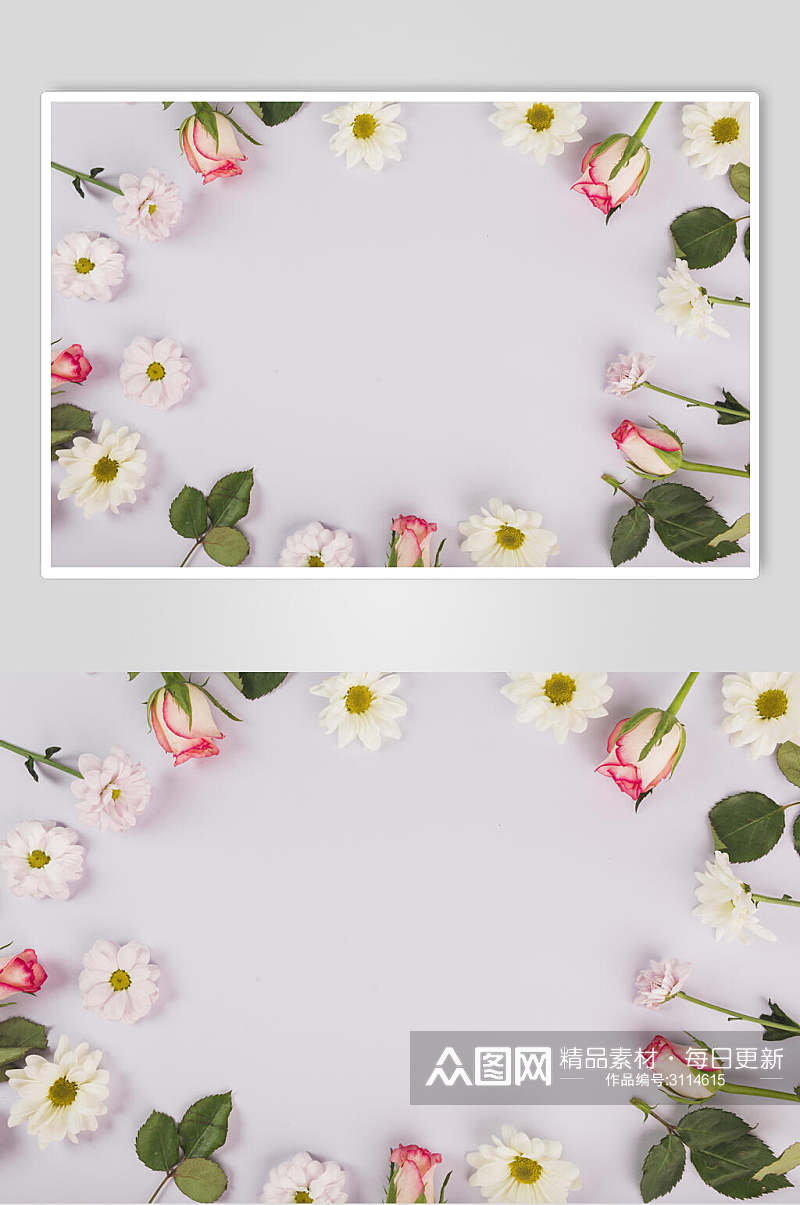 清新创意花卉花语花朵高清图片素材