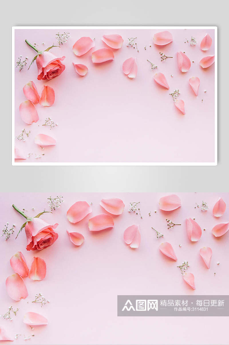 粉色浪漫花瓣花语花朵高清图片素材