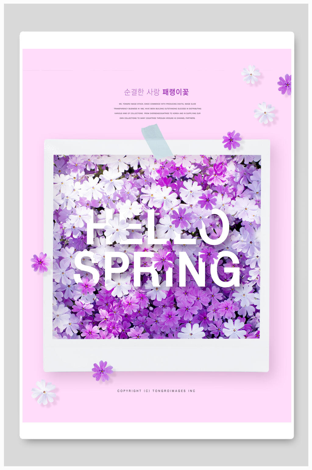 唯美紫色鲜花海报素材