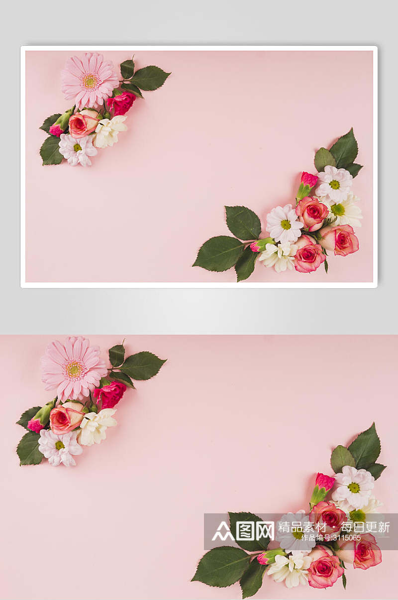 粉色鲜花花语花朵高清摄影图片素材