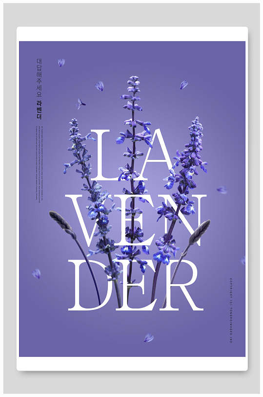 紫色薰衣草鲜花海报-众图网