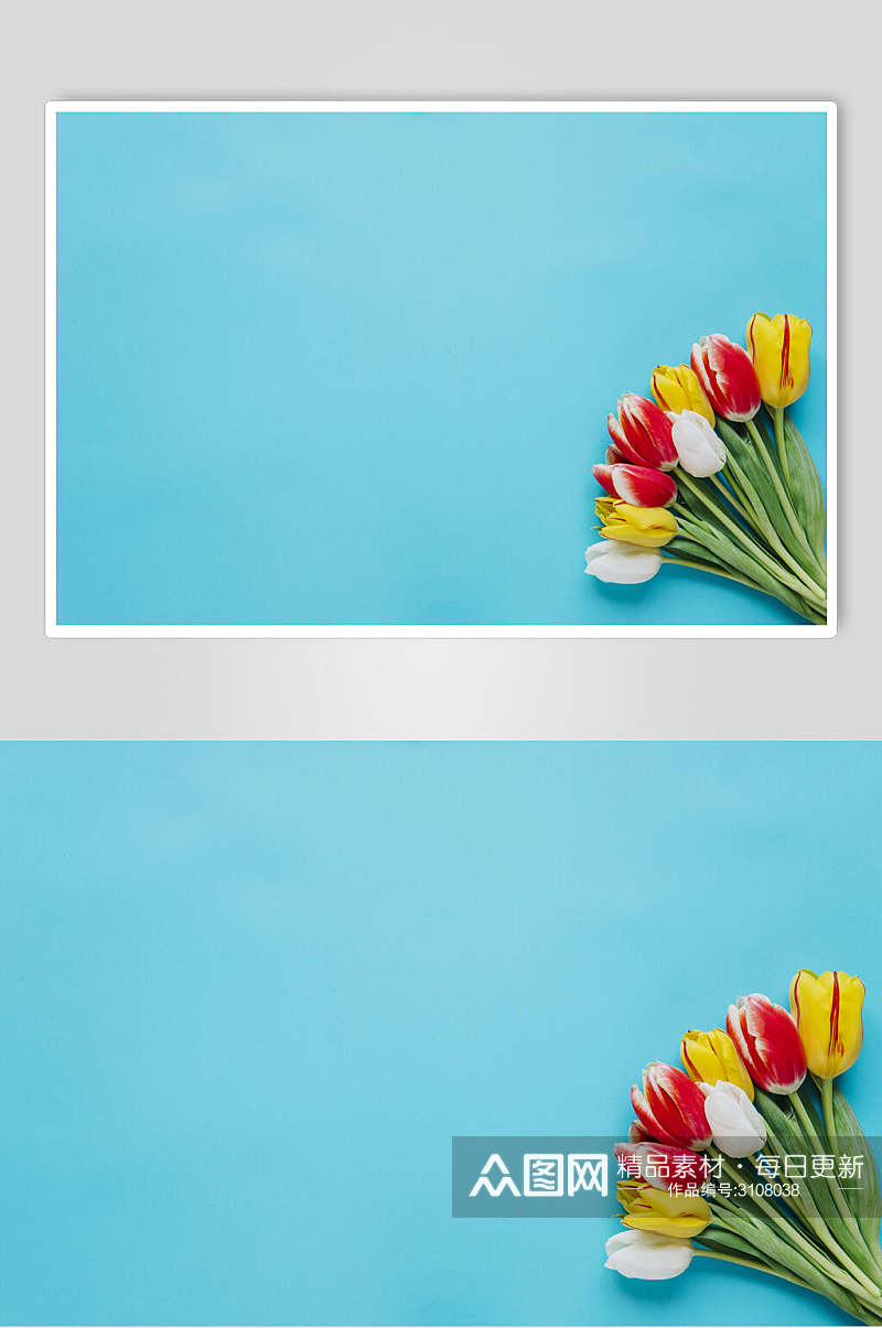 极简浅蓝色花语花朵高清图片素材