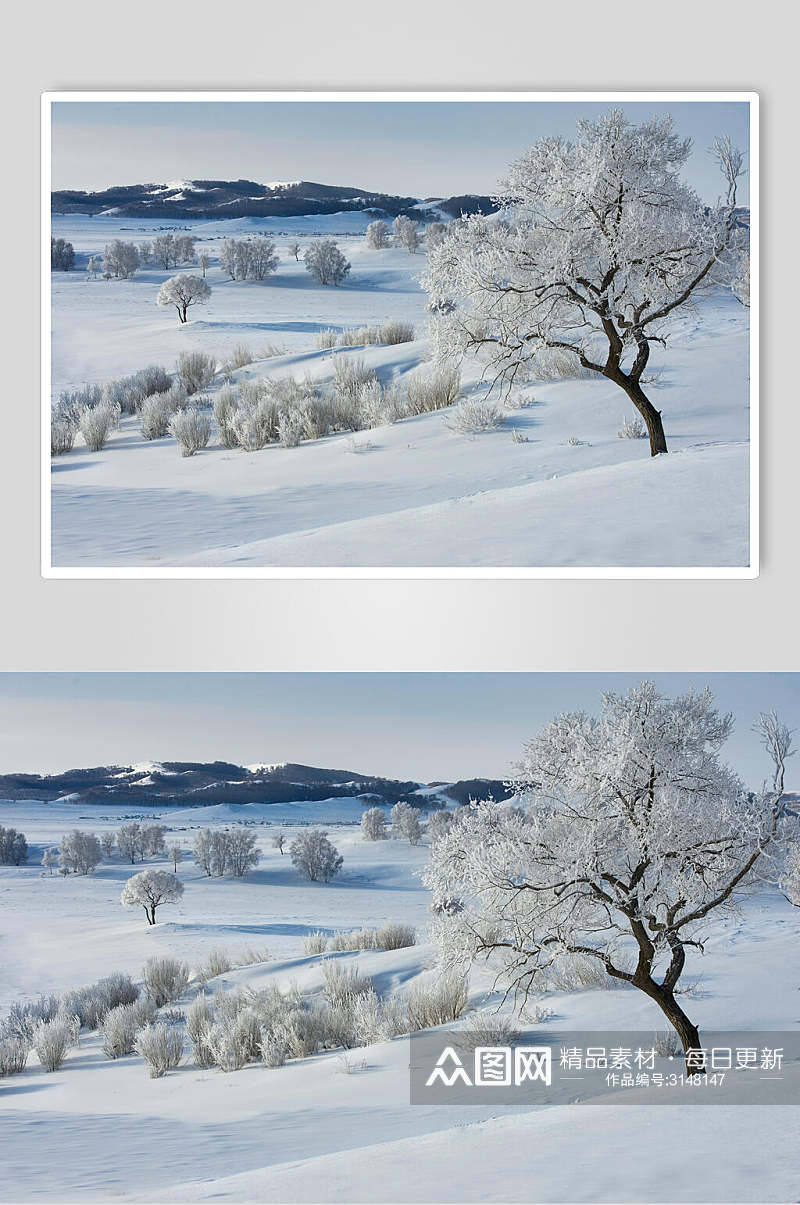 雪天乌兰布统风景图片素材