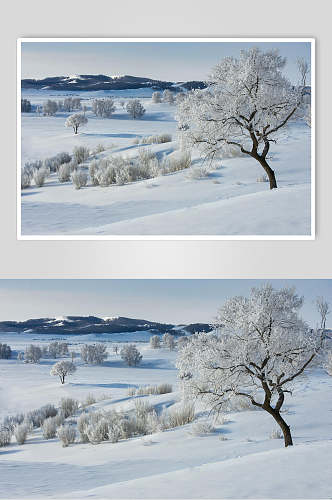 雪天乌兰布统风景图片