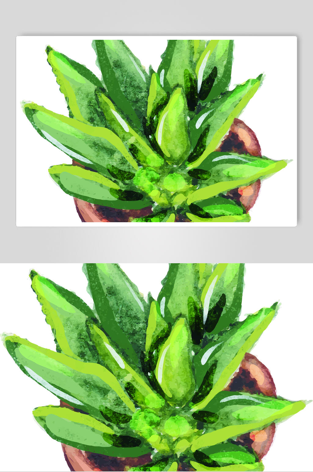 芦荟盆栽手绘矢量素材素材