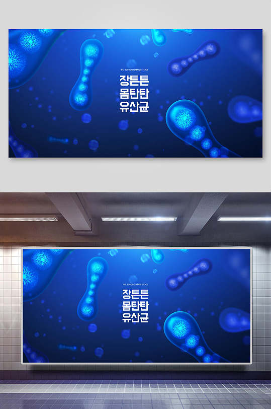 韩文人体肠道元素背景展板
