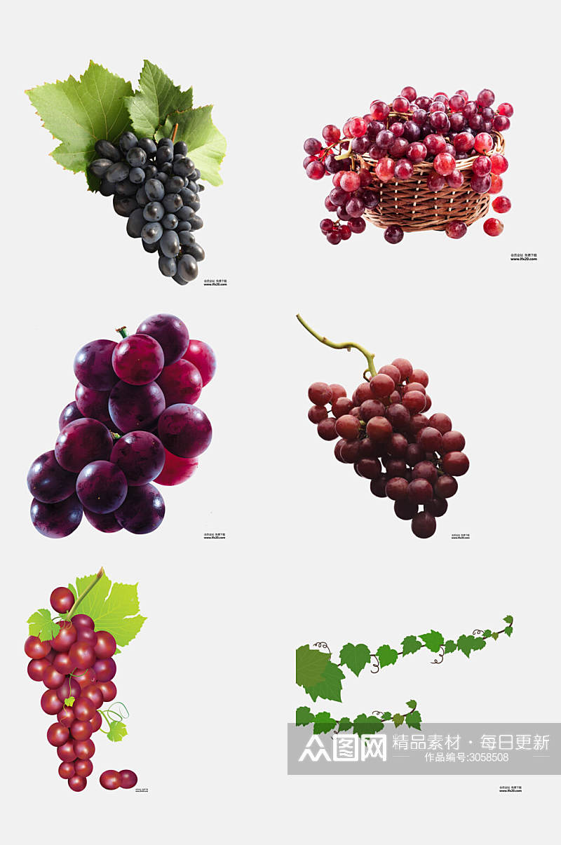 新鲜美味葡萄水果免抠素材素材