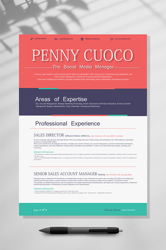 时尚红紫绿条纹国外英文简历WORD模板-众图网