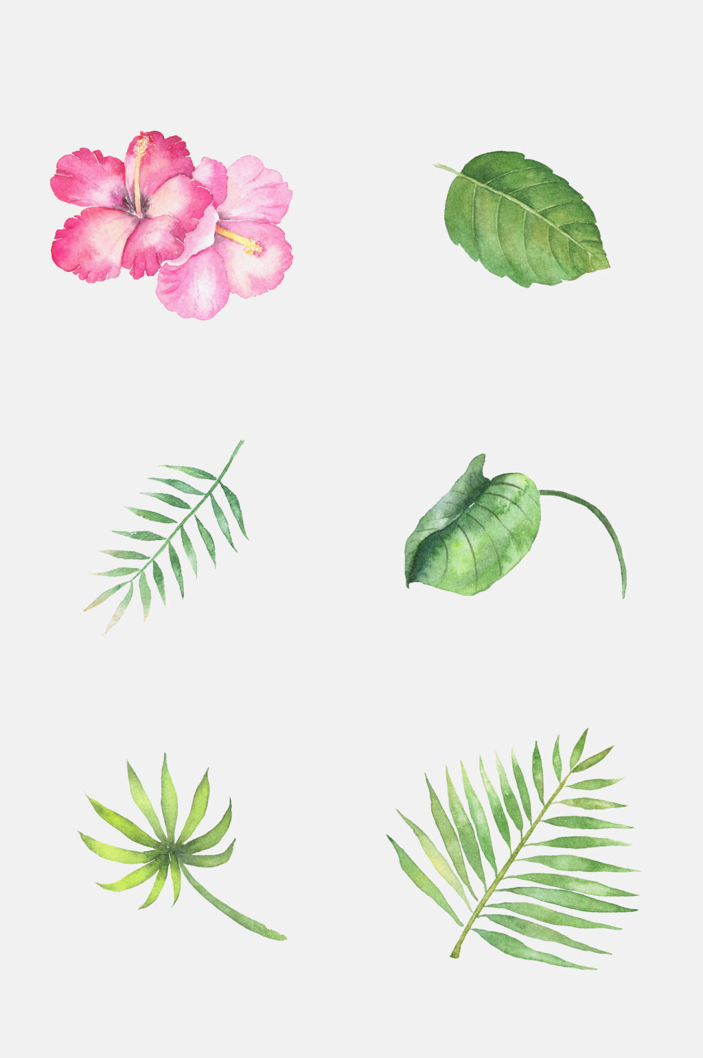 清新热带花卉免抠素材素材