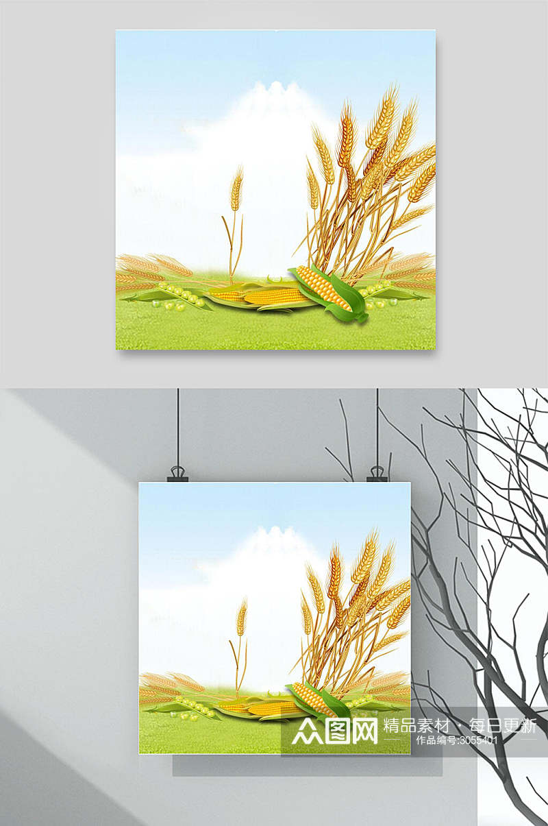 清新玉米电商主图背景素材素材